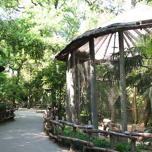 Ocellated Turkey Exhibit