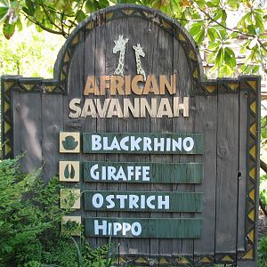 African Savannah - Sign