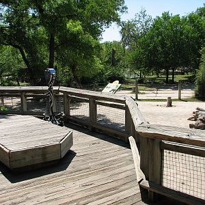 African Savannah - Black Rhino Exhibit Viewing Area