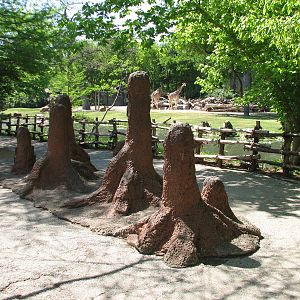 African Savannah - Simulated Termite Mounds
