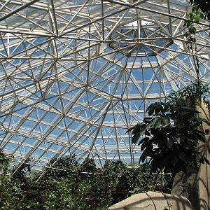 World of Primates - Interior Dome