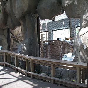 World of Primates - Colobus Exhibit
