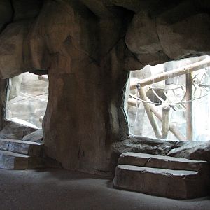 World of Primates - Chimpanzee Exhibit Bedroom Viewing Area