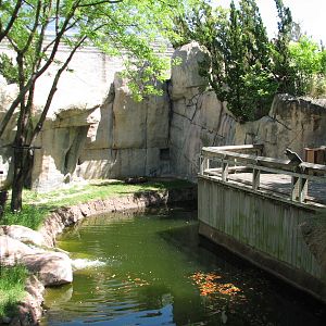 World of Primates - Mandrill Exhibit