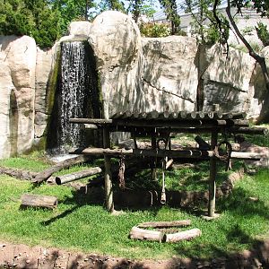 World of Primates - Mandrill Exhibit