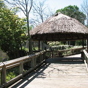 World of Primates - Viewing Boardwalk