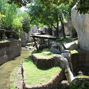 World of Primates - Exterior Gorilla Exhibit
