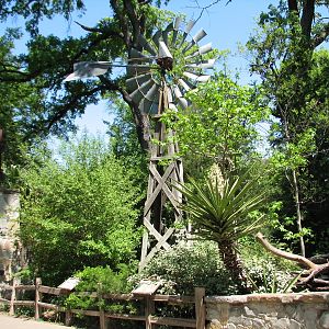 Texas Wild! - Hill Country - Windmill