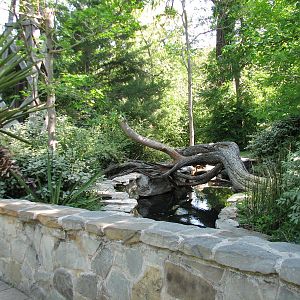 Texas Wild! - Hill Country - Guadalupe Map Turtle and Bass Exhibit