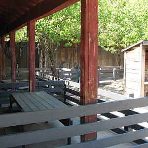 Texas Wild! - Texas Town - Petting Corral