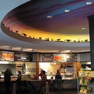 Texas Wild! - Texas Town - Bluebonnet Cafe Interior