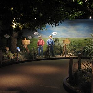 Texas Wild! - Texas Town - Hall of Wonders Stewardship Exhibits