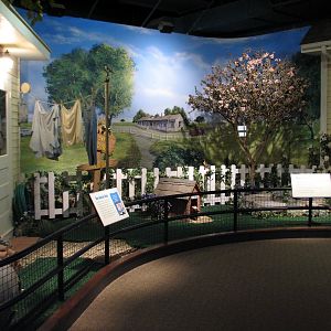 Texas Wild! - Texas Town - Hall of Wonders Stewardship Exhibits