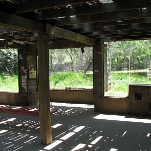 Texas Wild! - High Plains and Prairies - Black-tailed Prairie Dog and Burro