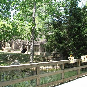 Texas Wild! - High Plains and Prairies - White-tailed Deer, Wild Turkey, an
