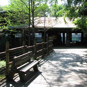 Texas Wild! - Pineywoods and Swamps - Entry