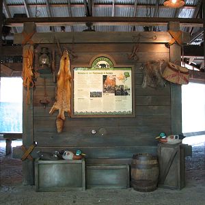 Texas Wild! - Pineywoods and Swamps - Entry