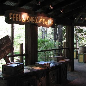 Texas Wild! - Pineywoods and Swamps - Displays