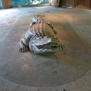 Texas Wild! - Pineywoods and Swamps - Alligator Statue
