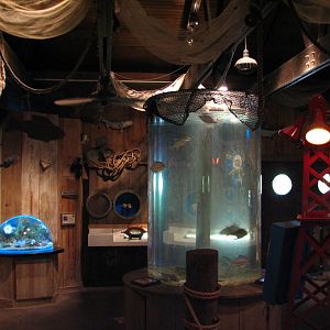Texas Wild! - Texas Gulf Coast - Aquatic Exhibits Room