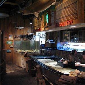 Texas Wild! - Texas Gulf Coast - Aquatic Exhibits Room