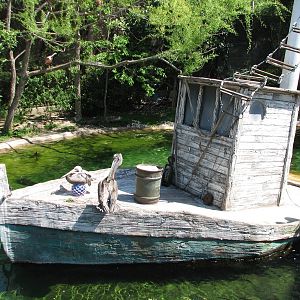 Texas Wild! - Texas Gulf Coast - Shrimp Boat in Aviary