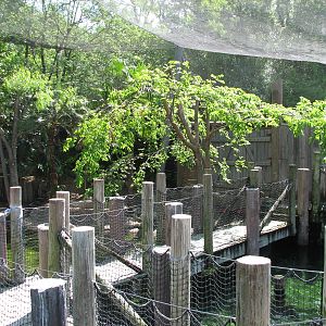 Texas Wild! - Texas Gulf Coast - Aviary Interior