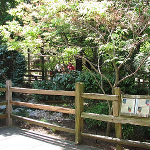 Texas Wild! - Brush Country - Walk-thru Aviary