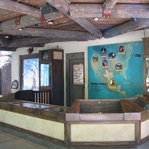 Texas Wild! - Brush Country - Birds of Prey Display Counter