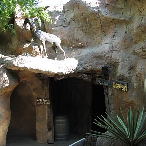 Texas Wild! - Mountains and Desert - Entry