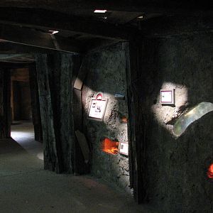 Texas Wild! - Mountains and Desert - Interior Exhibits