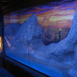 Texas Wild! - Mountains and Desert - Long-nosed and Pallid Bat Exhibit