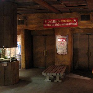 Texas Wild! - Mountains and Desert - Indigo Snake Exhibit and Theater Entry