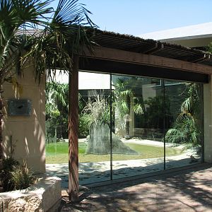MOLA - Saltwater Crocodile Exhibit Viewing Area