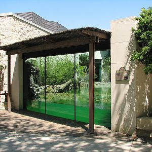 MOLA - Saltwater Crocodile Exhibit Viewing Area