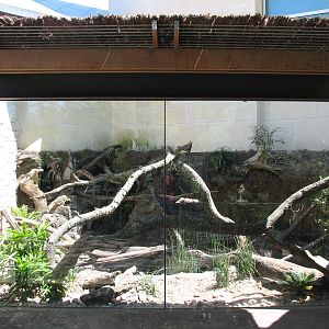 MOLA - Crocodile Monitor Exhibit Exterior