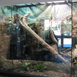 MOLA - Crocodile Monitor Exhibit Interior
