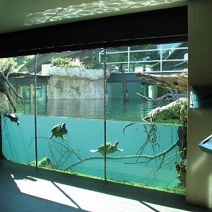 MOLA - Gharial River Interior Viewing Window