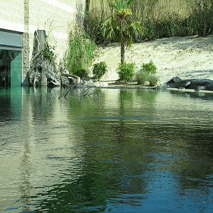 MOLA - Gharial River