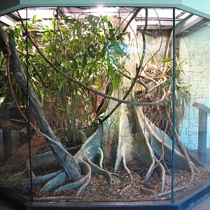 MOLA - Diversity Gallery - Burmese Python Exhibit