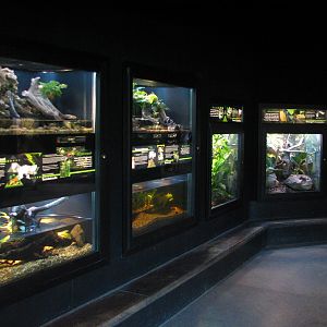 MOLA - Diversity Gallery