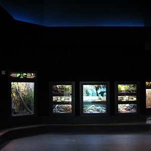 MOLA - Diversity Gallery