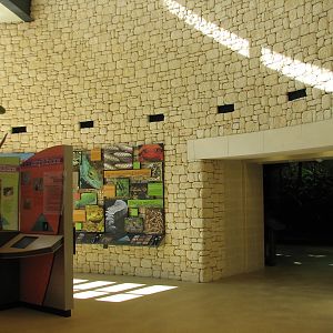 MOLA - Discovery Hub