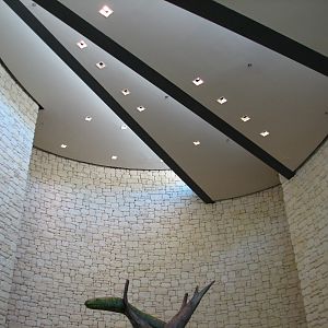 MOLA - Discovery Hub - Ceiling