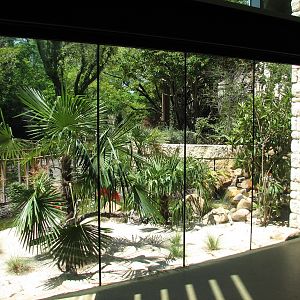 MOLA - Scarlet Ibis Exhibit Interior Viewing Area