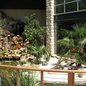 MOLA - Scarlet Ibis Exhibit