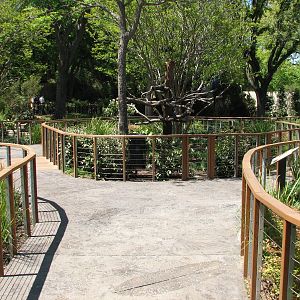 MOLA - Exterior Exhibits Path