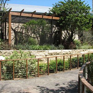 MOLA - Golden Lion Tamarin and Hoffmans Two-toed Sloth Exhibit