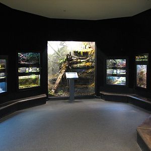 MOLA - Montane Gallery