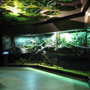 MOLA - Tropical Trails Exhibit